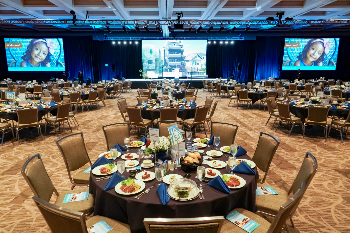 52143660551_97326a594f_o